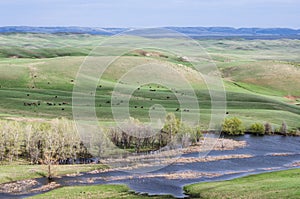 Hilly steppe in spring