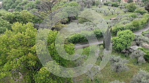 Hilly vegetations aerial view with oaks, cypresses and olive trees