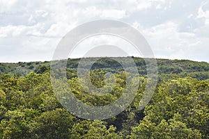 A Hilly View With Forest Trees