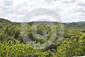 A Hilly View With Forest Trees