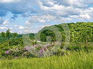 Hilly vista in Cuddy, Pennsylvania overlooking Alpine Road in th