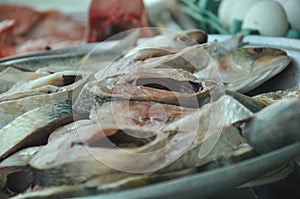 Hilsa fish