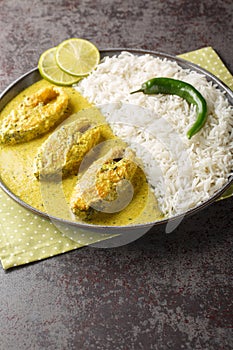 Hilsa fish cooked with mustard and traditional Bangladeshi spices served with white rice closeup on the plate. Vertical