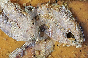 Hilsa fish pieces on a plate.