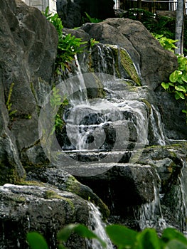 Hilton Hawaiian Village Beach Resort & Spa Waterfall