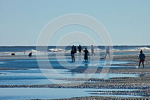 Hilton Head Island Beach Walkers