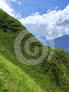 Himachal Pradesh green Grass in heel barja plece