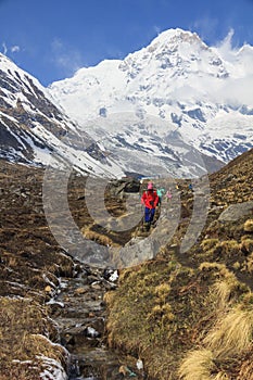 Himalaya Annapurna base camp trekking trail, Nepal