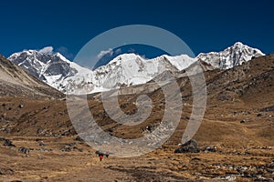 Himalaya mountains landscape and meadow, Way to Amphulapcha base camp, Everest region in Nepal