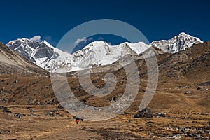 Himalaya mountains landscape and meadow, Way to Amphulapcha base camp, Everest region in Nepal photo