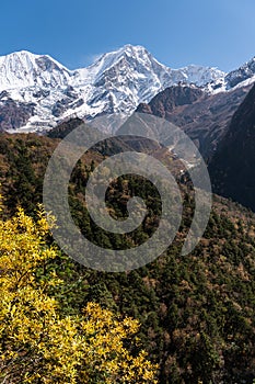 Himalaya mountains range landscape in Manaslu circuit trekking route in Nepal