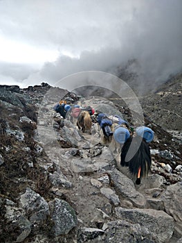 Himalaya. Nepal life. Treking in Nepal. Trail to Everest. Hiking in Nepal photo