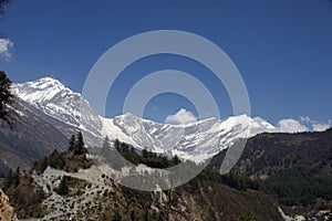 Himalaya View
