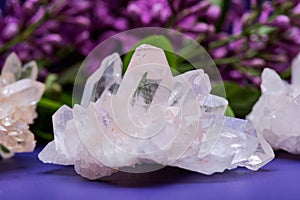 Himalayan Clear Quartz Clusters with Hematite inclusions surrounded by lilac flowers. photo