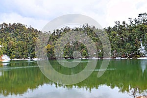 Himalayan Forest with Reflection in Clean Water of Deoria or Deoriya Tal Lake - Winter Landscape, Uttarakhand, India