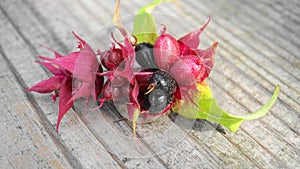 Himalayan honeysuckle  purple-black berries with green leaves isolated on wood background close up. Other names Leycesteria formos