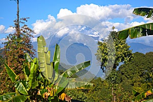 Himalayan mountain range with snowy peaks from Sikkim