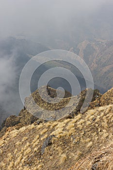 Himalayan pasture