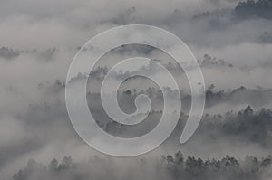 Himalayan ranges as seen in the morning at Kausani, India