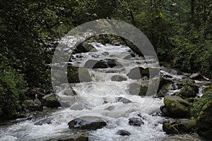 Himalayan river manali