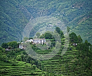 Himalayan Village and agriculture farm at Kausani