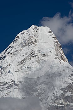 Himalaya gentile 