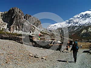 Himalayas - around Manang