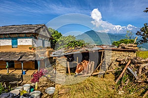 Himalayas mountains, a farmhouse and a stall near Pokhara in Nepal photo