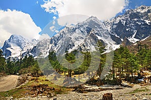 The Himalayas in Sikkim