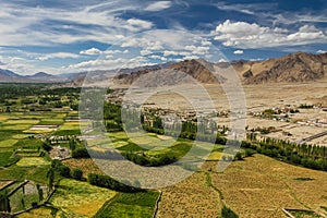 Himalayas from Thikse monastery-Ladakh,India