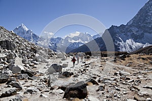 Himalayas, trekking in the high mountains,Everest Base Camp