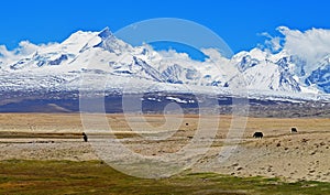 Himalayas. View from the Tibetan plateau.