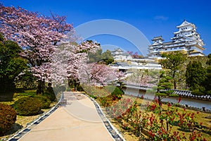 Himeji Castle in cherry blossom season, Hyogo, Japan