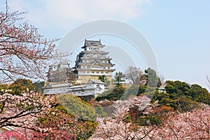 The Himeji Castle, Japan