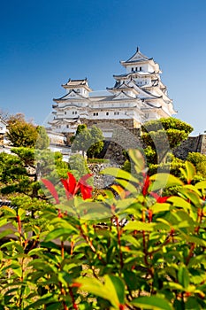 Himeji castle, Japan. Blue sky