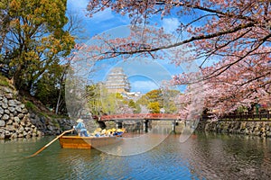 Himeji castle moat boat tour during full bloom cherry blossom in Hyogo, Japan