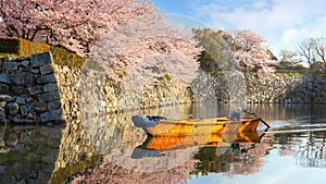 Himeji castle moat boat tour during full bloom cherry blossom in Hyogo, Japan