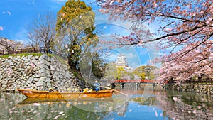 Himeji castle moat boat tour during full bloom cherry blossom in Hyogo, Japan