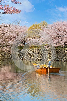 Himeji castle moat boat tour during full bloom cherry blossom in Hyogo, Japan