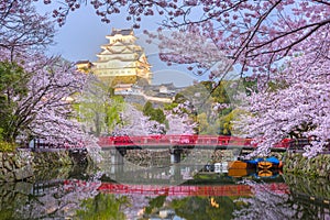 Himeji Castle and Moat in Spring photo