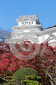 Himeji Castle with red leaves front view