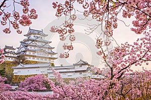 Himeji, Japan at Himeji Castle during spring cherry blossom season