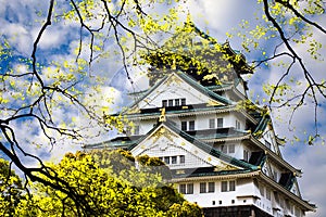 Himeji-jo castle, Kansai, Japan photo