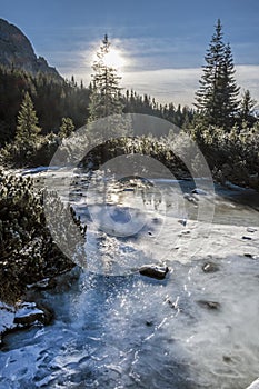 Hincov creek in High Tatras, Slovakia, winter scene