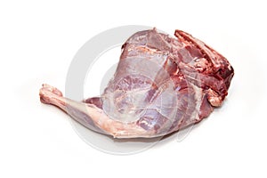 hind leg of raw venison meat photo