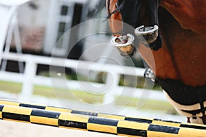 The hind shod hooves of a dark tail bay horse that has just jumped over the high yellow hurdle. Equestrian sports