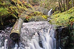 Hindhope Burn and Linn