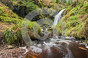 Hindhope Linn and Burn