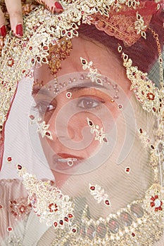 Hindi Bride Under The Veil
