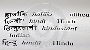 Hindi in Hindi Dictionary